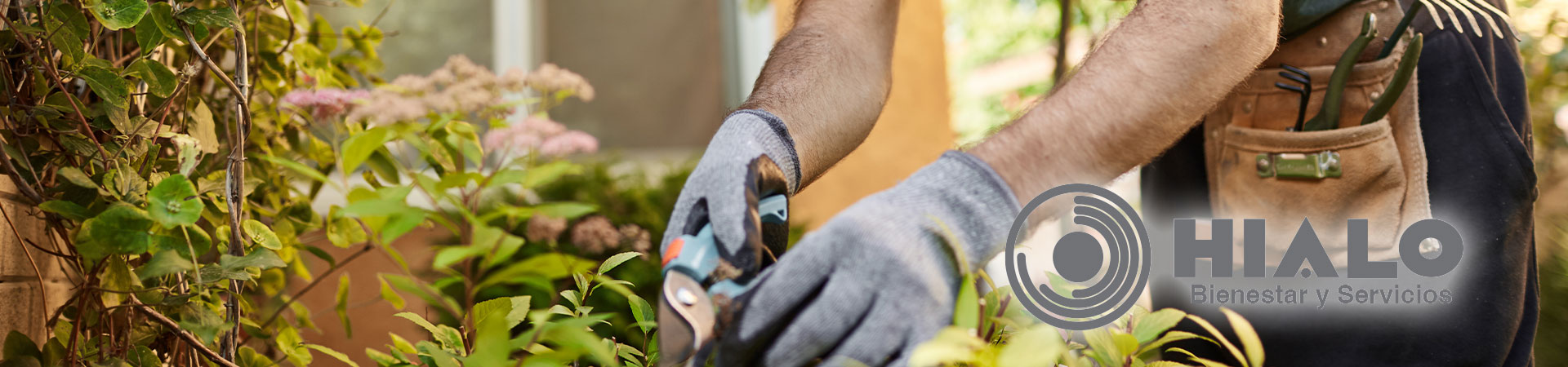 mantenimiento zonas verdes